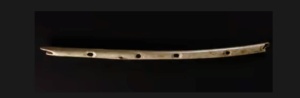 flute en os de vautour datée de 35000 ans